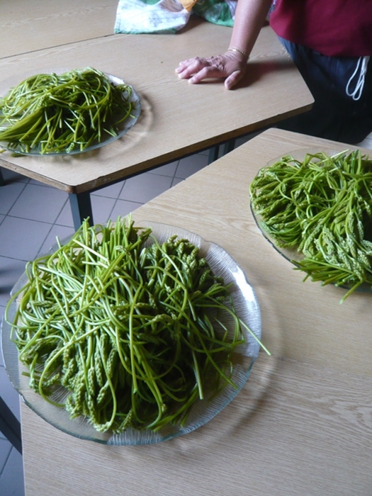 asperges