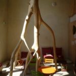 arbre ardelaine