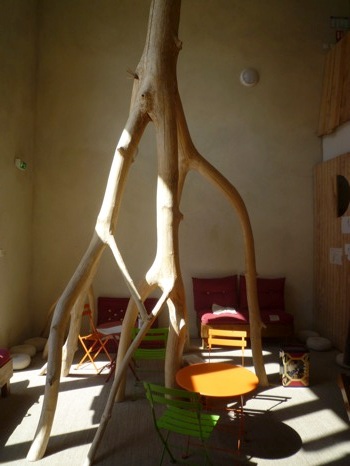 arbre ardelaine