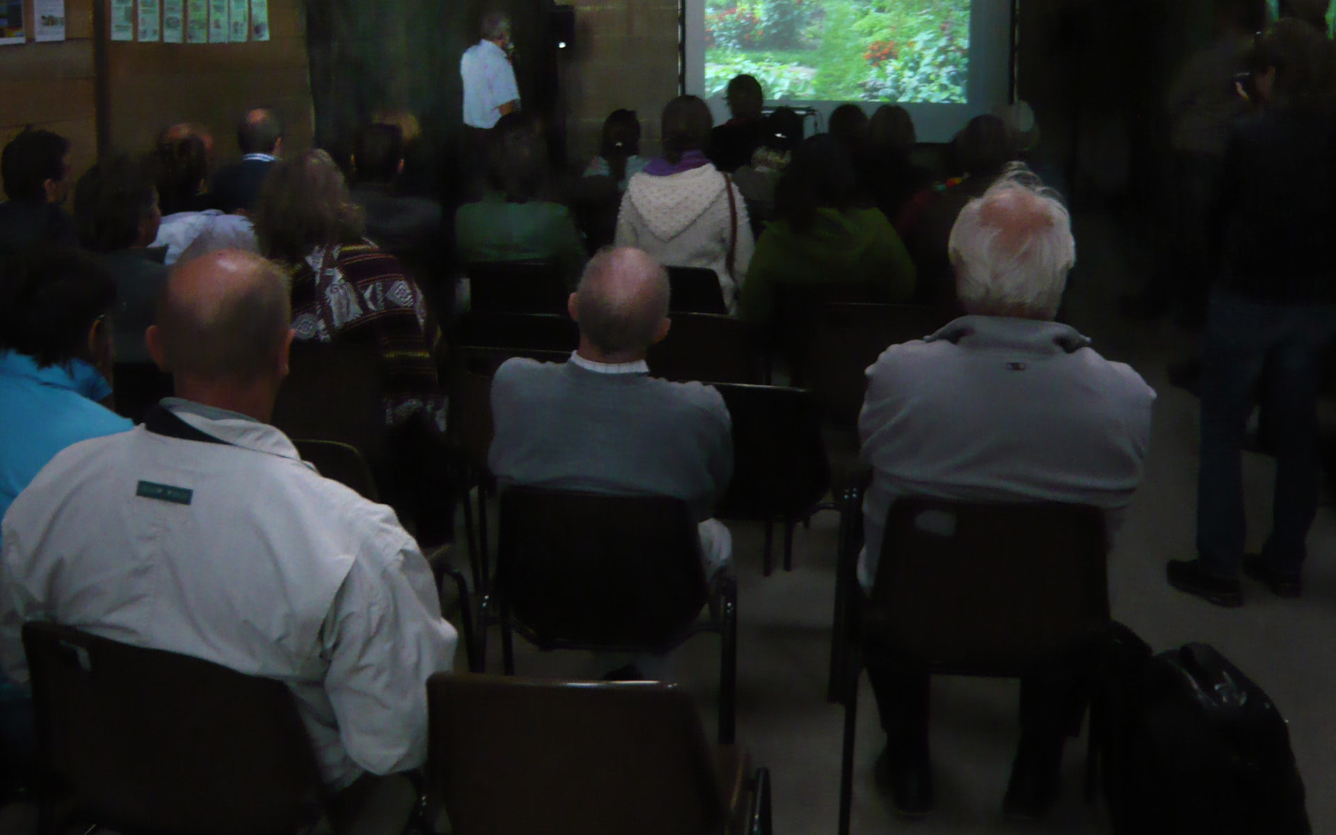 3P1120487sala 0