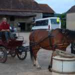 2 le cheval de jean yves goustiaux issu de lexploitation de joel garandet