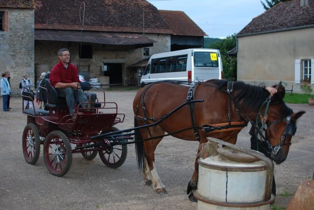 2 le cheval de jean yves goustiaux issu de lexploitation de joel garandet