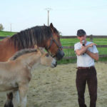 francois bige et ses chevaux