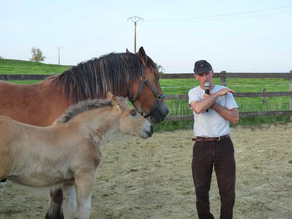 francois bige et ses chevaux