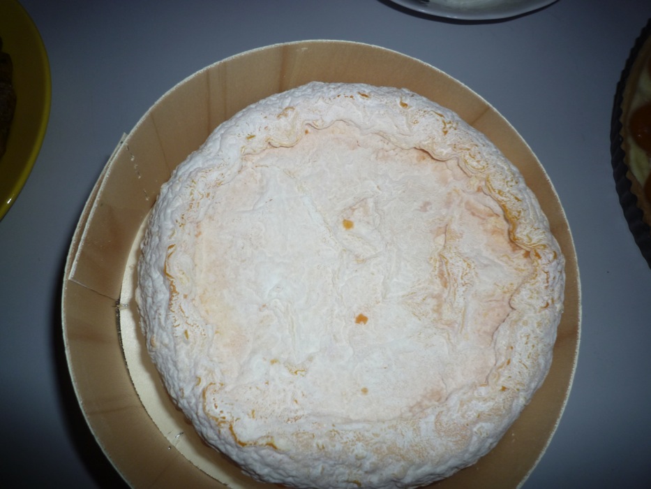 p1070067