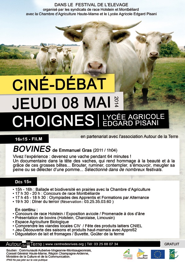 140508-choignes_bovines_web